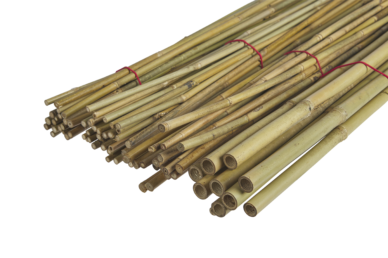 Standart Üretim Saksı