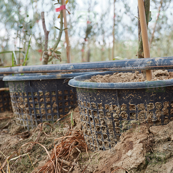 Sepet (Replika) Saksı