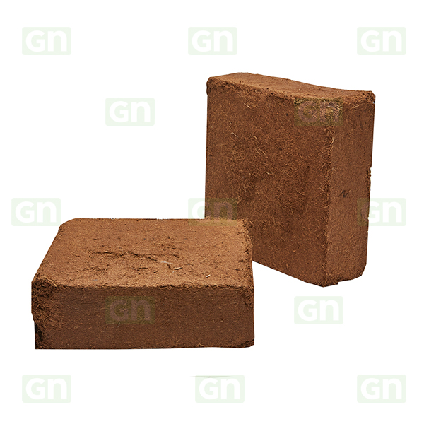 Hindistan Cevizi Torfu